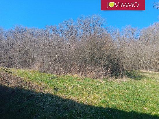 Diaporama : Vente maison-grange-ferme - 03330 Bellenaves - image 17/17